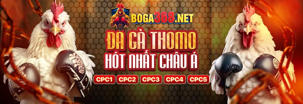 Đá gà trực tuyến kịch tính tại DP568 Win 2026