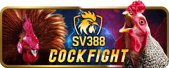 Uy tín và an toàn tại dp568 win
