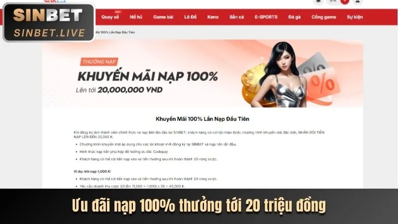 Hoàn trả hàng ngày dp568 win